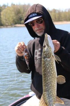 Vis Meester -Vis Meester 1572597r 2