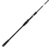 Daiwa TD Pitch Black 8' 120g Casting -Vis Meester 217268 1
