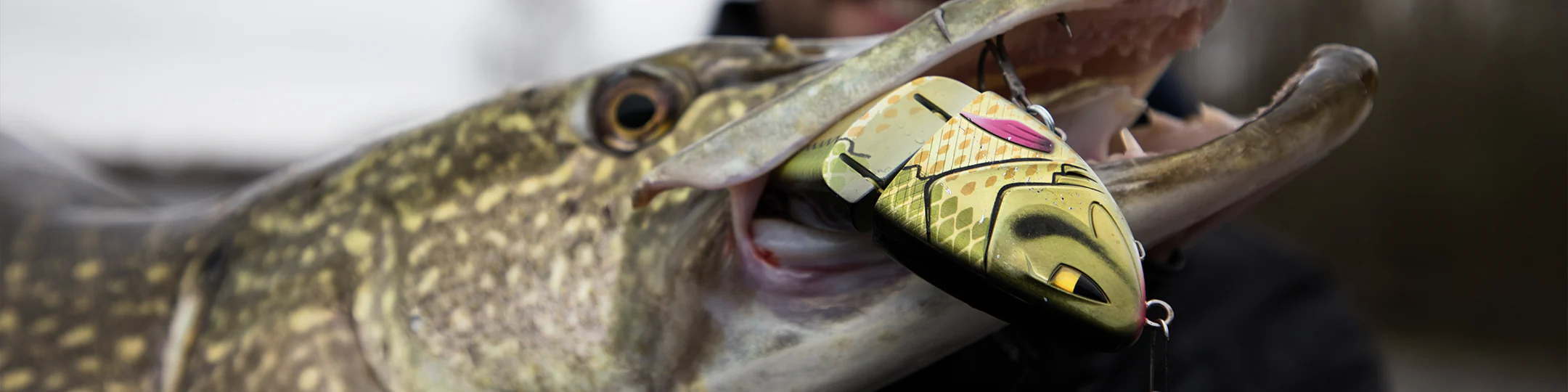 Vis Meester -Vis Meester Berkley hardbaits 1920x700 13d2a608 0e26 44da 98e0 ebc2b160be18